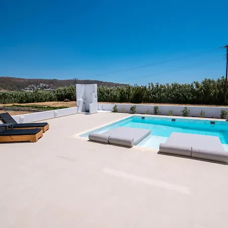Pri Villa Naxos Villa *
